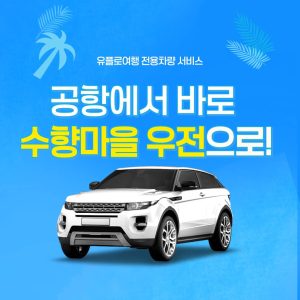 상하이 대가족 여행: 15인승 미니버스 vs 택시 3대, 현명한 선택은?