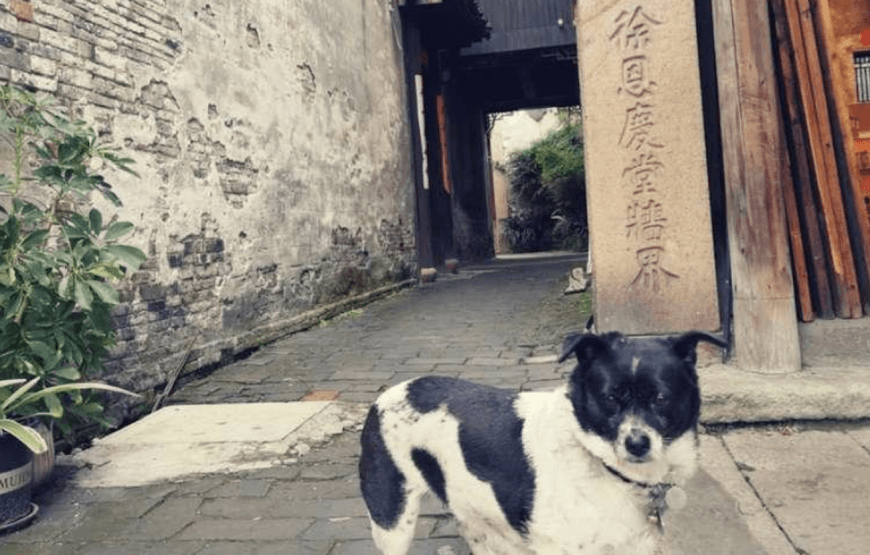 수향마을 우전 1박2일 프라이빗 투어 (서책 5성급호텔 숙박, 왕복픽업,  한국어가이드, 무료공항픽업)