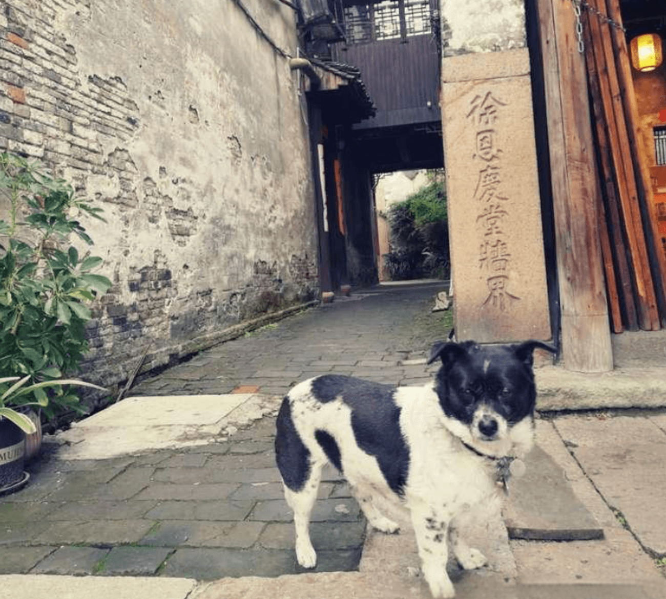 동책마을 관광   ⏰ 1시간30분 소요   📍우전 동책